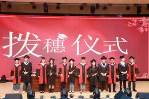 十大网上赌博网站排行榜