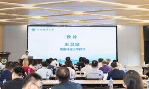 十大网上赌博网站排行榜