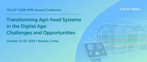 十大网上赌博网站排行榜