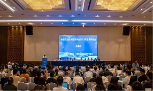 十大网上赌博网站排行榜