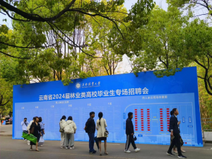 十大网上赌博网站排行榜