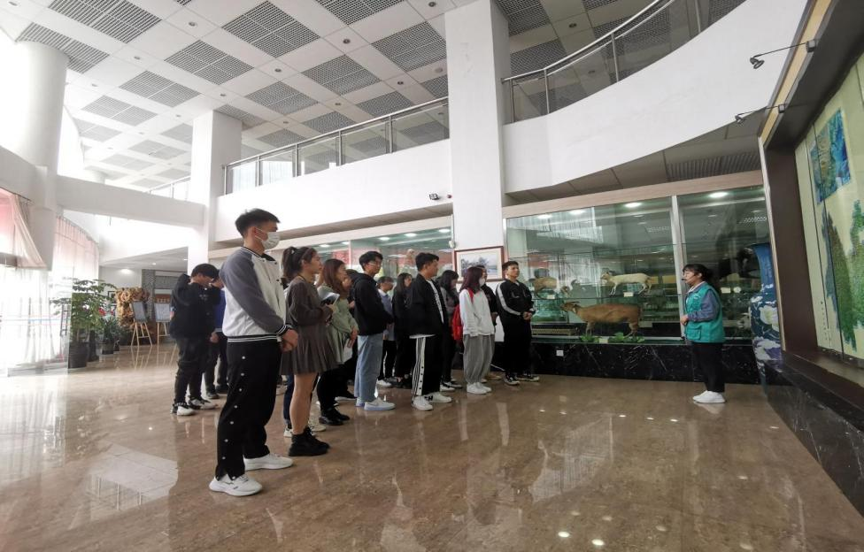 十大网上赌博网站排行榜