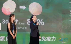 十大网上赌博网站排行榜