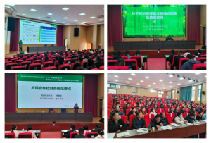 十大网上赌博网站排行榜