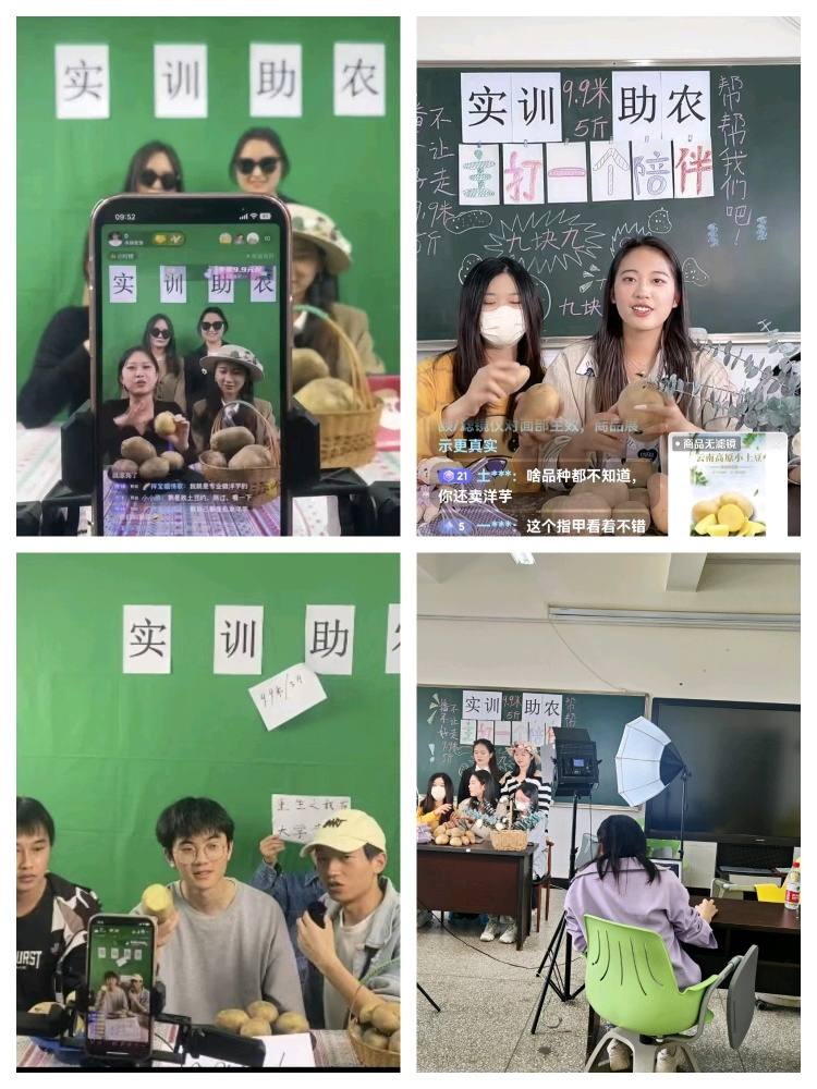 十大网上赌博网站排行榜