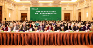 十大网上赌博网站排行榜