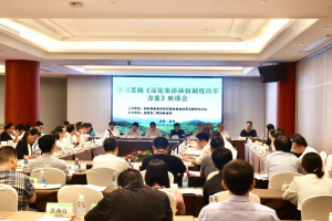 十大网上赌博网站排行榜