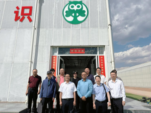 十大网上赌博网站排行榜