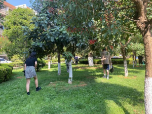 十大网上赌博网站排行榜