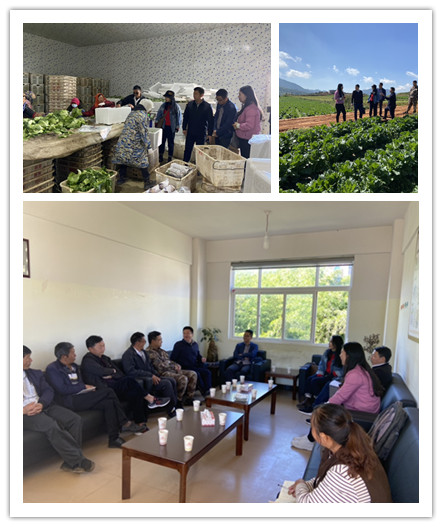 十大网上赌博网站排行榜