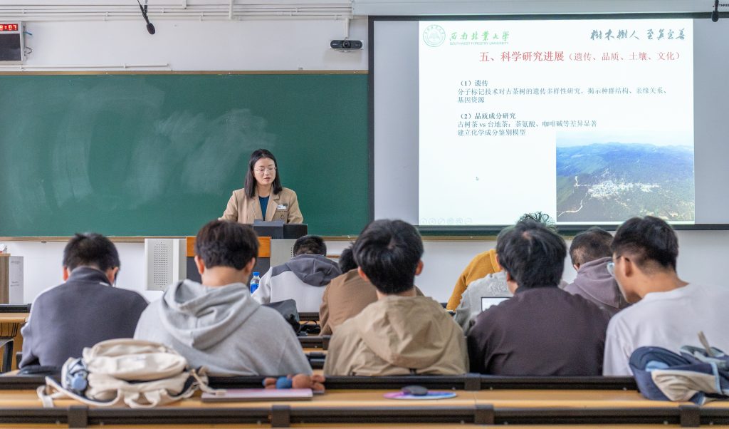 十大网上赌博网站排行榜