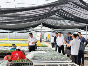 十大网上赌博网站排行榜