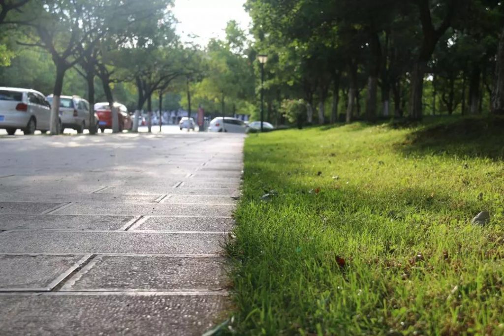 十大网上赌博网站排行榜