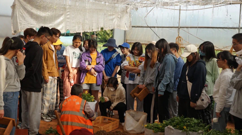 十大网上赌博网站排行榜