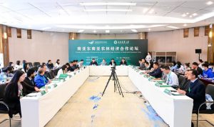 十大网上赌博网站排行榜