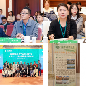 十大网上赌博网站排行榜