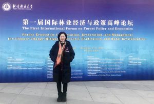 十大网上赌博网站排行榜