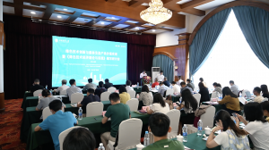 十大网上赌博网站排行榜